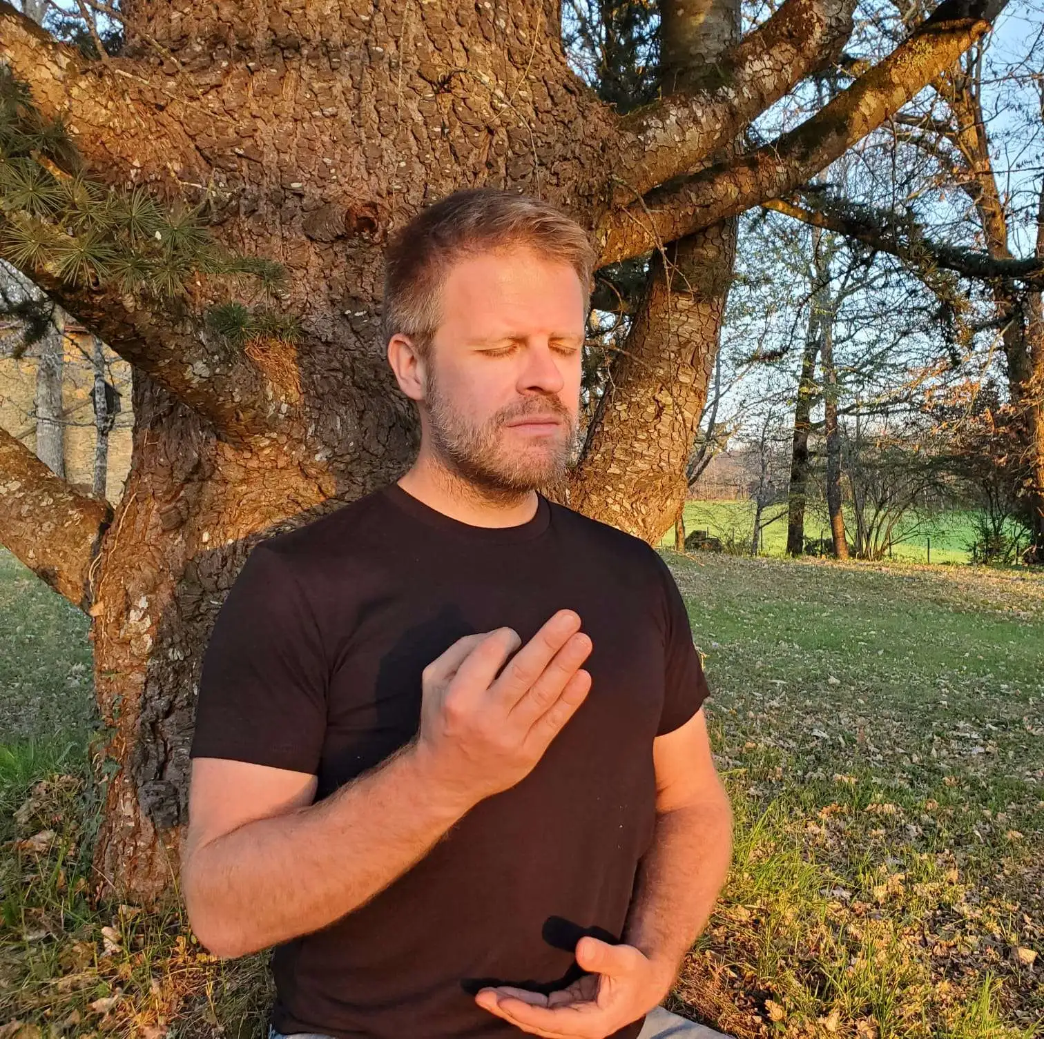 Distance Reiki Session