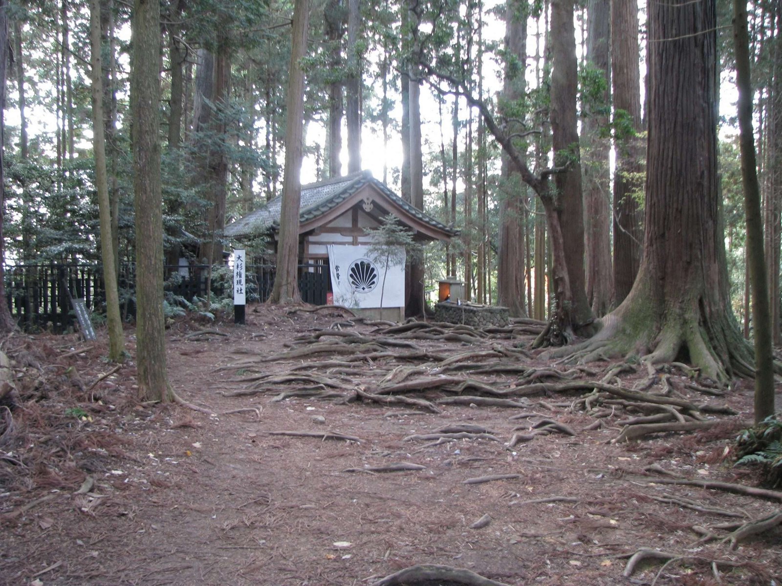 To be used Kyoto Landing Page next to the Join Bruce Section where there is currently a photo of a room