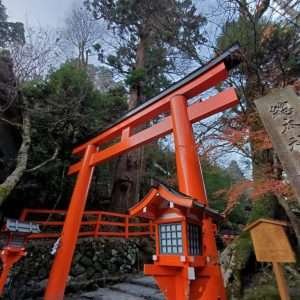 Deep Roots Of Reiki Tour Second Payment