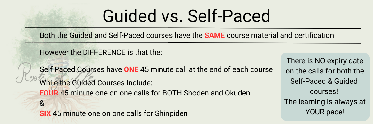 Guided vs. Self-Paced