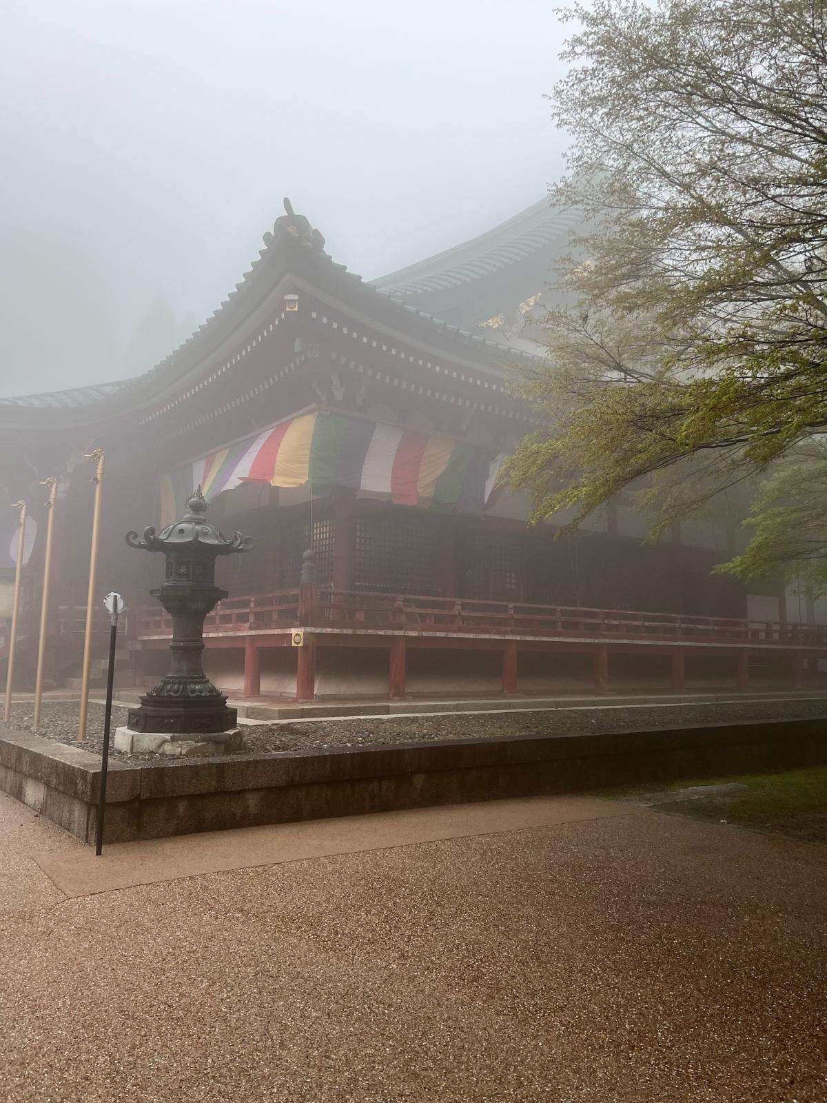 WhatsApp Image 2024-04-23 at 19.28.10_73ad872a Bruce Taylor in Meditation