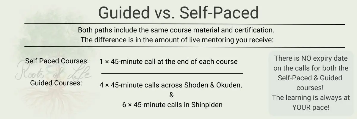Guided-vs.-Self-Paced Usui Reiki courses guided or self paced