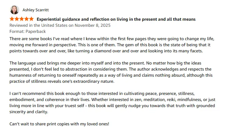 Amazon review for Touching Silence