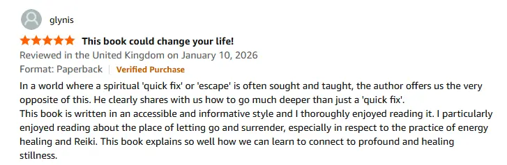 Amazon review for Touching Silence
