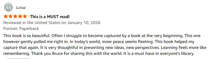 Amazon review for Touching Silence